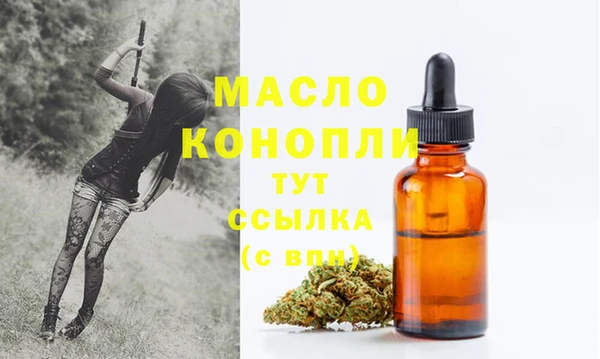 индика Ельня