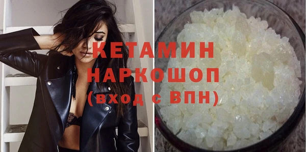 индика Ельня