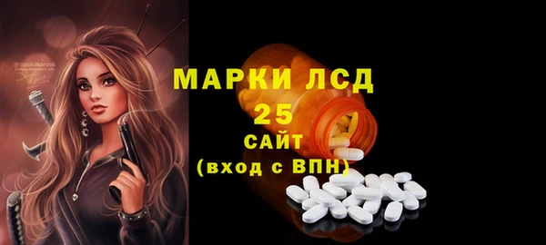 индика Ельня