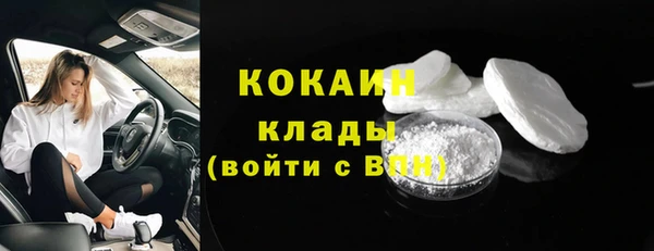 индика Ельня