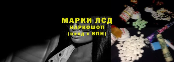 индика Ельня