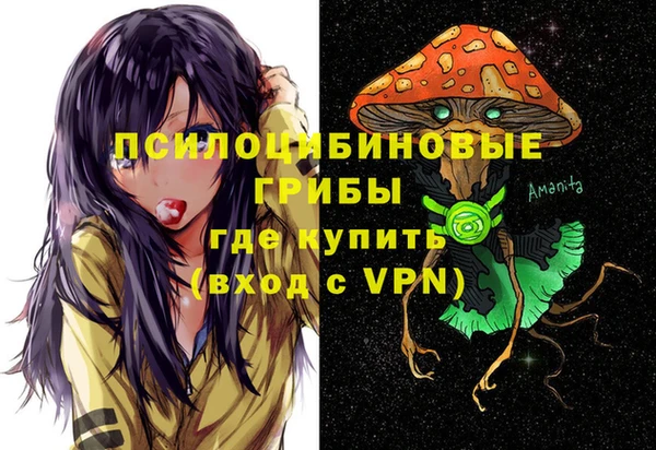 индика Ельня