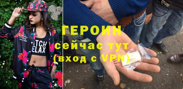 индика Ельня