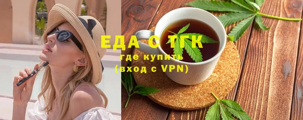 индика Ельня