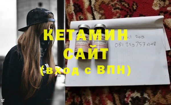 индика Ельня