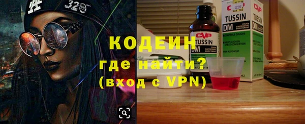 индика Ельня