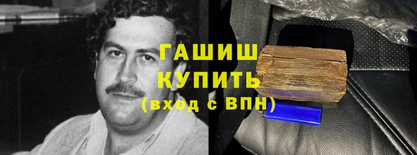 индика Ельня