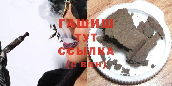 индика Ельня