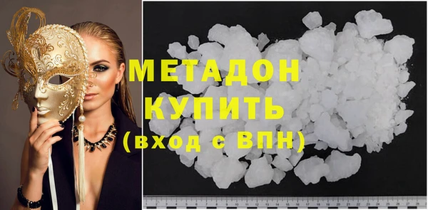 индика Ельня