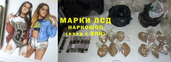 индика Ельня