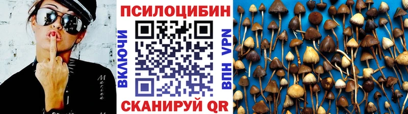 Псилоцибиновые грибы ЛСД  мега ССЫЛКА  Севастополь  где купить наркоту 